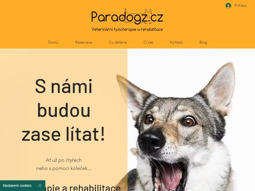nabízíme služby v oblasti veterinární rehabilitace a fyzioterapie (hydroterapie, laserová terapie, elektroterapie, thermodiagnostika, dogfitness). půjčovna vozíčků pro handicapované psy. paradogz s.r.o.