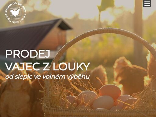 prodej vajec z louky od slepic ve volném výběhu