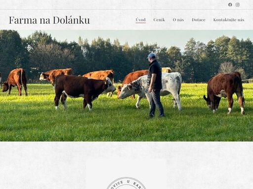 naše jalovice jsou volně pasené na pastvách v okolí farmy s možností přirozených úkrytů nebo možností využití přístřešku v období zimních měsíců. cílem je vytvořit stádo, které bude složeno z potomků našich jalovic, abychom znali jejich historii a původ. v letních měsících si připravujeme vlastní krmivo pro zimní měsíce tak, aby naše zvířectvo mělo...