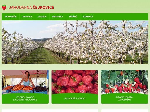 jahodárna čejkovice byla založena v roce 2000, kdy se specializovala pouze na produkci jahod.