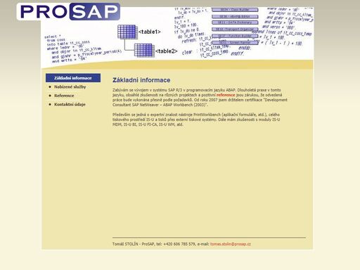 vývoj a konzultace v systému sap r/3 v programovacím jazyku abap.