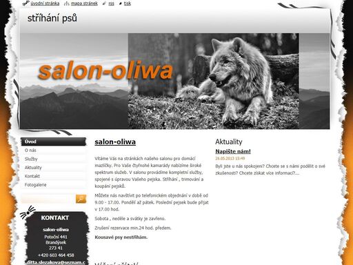 www.salon-oliwa.com