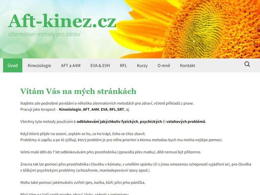 www.aft-kinez.cz