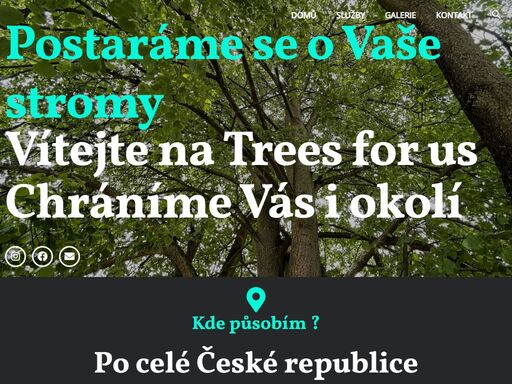 treesforus.eu