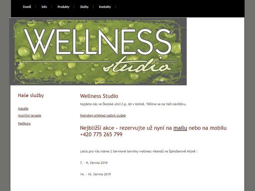 wellness kolín - prezentace,wellness kolín,kolín,wellness,masáže,pedikúra,nutriční poradenství