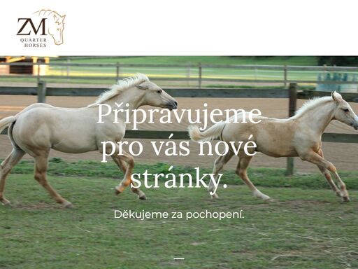 american-quarter-horses.cz