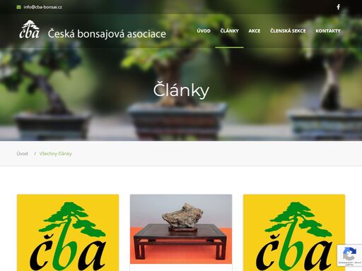 www.cba-bonsai.cz