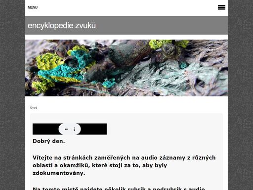 www.encyklopediezvuku.cz