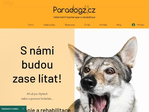www.paradogz.cz
