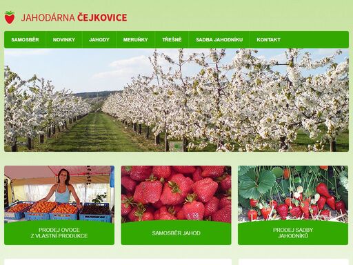 jahodárna čejkovice byla založena v roce 2000, kdy se specializovala pouze na produkci jahod.