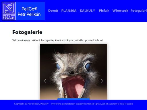 www.pelico.cz