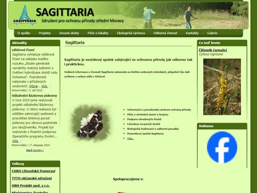 sagittaria