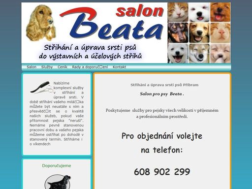 sta™a­ha!na­ psa— do va1stavna­ch i aoä?elova1ch s