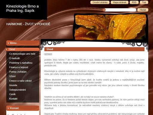 kineziologie brno a kineziologie praha. psychická pomoc. zvládání stresu. mezilidské vztahy. tréma