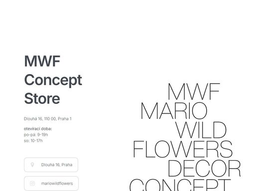 mario wild flowers decor and concept store