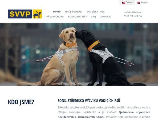 středisko výcviku vodících psů se zabývá výcvikem vodicích psů pro nevidomé. štěňata z vlastních odchovů na jejich poslání připravují dobrovolníci. svvp zajišťuje kompletní podporu nevidomým klientům při zácviku i při následném užívání vodicího psa. má registrovanou sociální službou sociální rehabilitace. na svou činnost čerpá finance z dotačních programů a sponzorských darů.