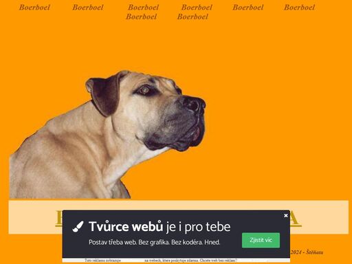 boerboel