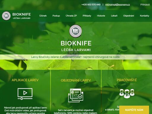 larvoterapie (léčba larvami) využívá larev bzučivky zelené k odstranění mrtvé tkáně z ran, diabetických defektů, bércových vředů, proleženin, apod.  