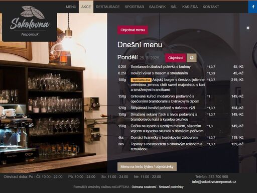 www.sokolovnanepomuk.cz