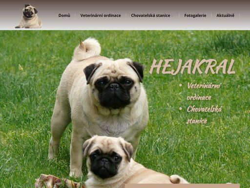 poskytované služby v ordinaci běžná kurativa vakcinace čipování a vystavování pet pasů chirurgické zákroky odstraňování zubního kamene ultrazvukem chovná stanice veterinární ordinace, mám rád psy, o nás, vlastnit psa je skvělá zábava, péče o vašeho psa, teplé štěně, předplatit, umístění, následuj nás poskytované služby v ordinaci běžná kurativa vakcinace čipování a vystavování pet pasů chirurgické zákroky odstraňování zubního kamene ultrazvukem