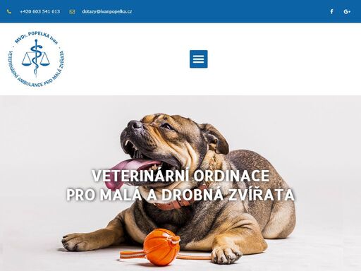 veterinární ordinace pro malá a drobná zvířata a hypiatrickou praxi v blízkosti sportovního tenisového areálu bajda v kroměříži.