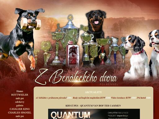 rotvajler, rottweiler, štěňátka, štěňata, kavlír king, cavalier, kateřina hájková, chovatelská stanice, z benáteckého dvora, rottweiler, cavalier king charles spaniel, kennel