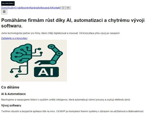 konzultace, vývoj a automatizace poháněná ai.