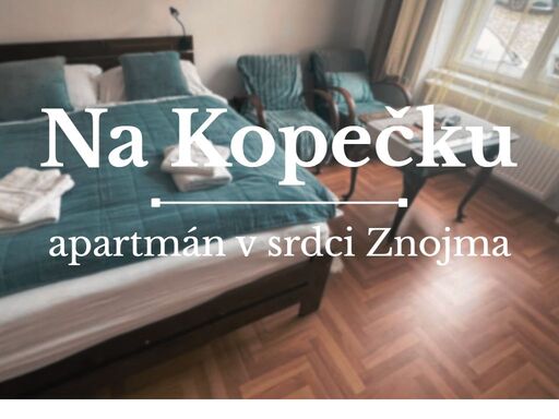 přejete si poznat krásy znojma a okolí? apartmán na kopečku vám nabízí ubytování přímo v srdci historického města!