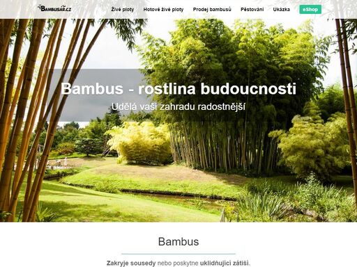 www.bambusar.cz