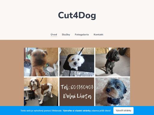 cut4dog.webnode.cz