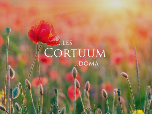 www.cortuum.cz