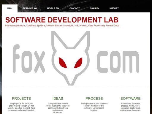foxcom services - custom software development, databases, computing, data mining