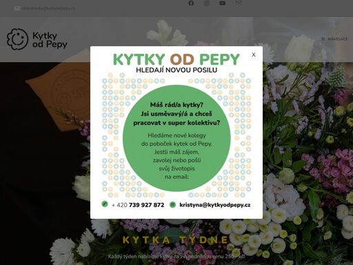 www.kytkyodpepy.cz