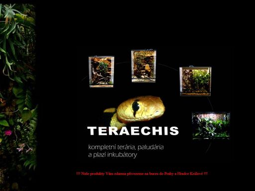 teraechis.cz
