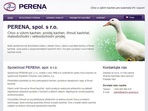www.kachny-perena.cz