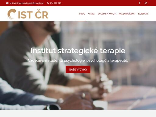 www.institutstrategicketerapie.cz