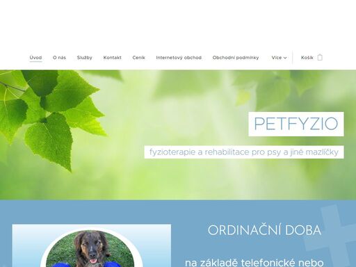 www.petfyzio.com