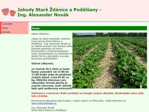 rodinná firma jahody staré ždánice a podůlšany - ing. alexander novák už po několik let patří mezi středně velké pěstitele jahodníku na hranici pardubického a královéhradeckého kraje. specializujeme se především na sklizeň formou samosběru a prodej koncovým spotřebitelům.
