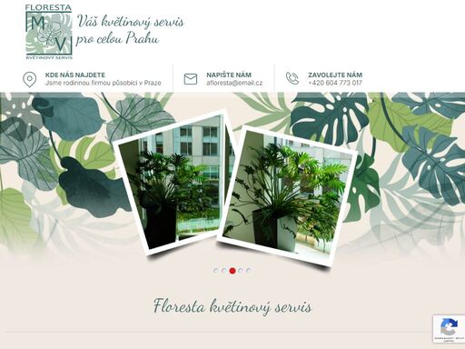 nabízíme exkluzivní květinové služby v praze. specializujeme se na interiérové a exteriérové zelené řešení, pravidelnou péči o rostliny, a návrhy květinových stěn.