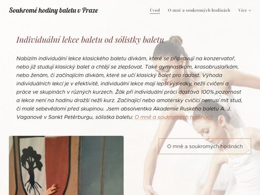 individuální výuka baletu vedená sólistkou baletu. lekce ruského klasického baletu v praze pro děti i dospělé, vlastní cvičebna.