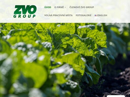 www.zvo.cz