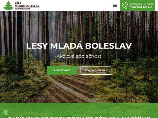 provádíme těžbu dřeva či pěstební činnost v lese. dále produkujeme dodávku pěstebních prací, počínaje zalesňováním, péčí o kultury a výchovnými zásahy v předmětných porostech. nabízíme výkup dřevní hmoty od malo i velkododavetelů.