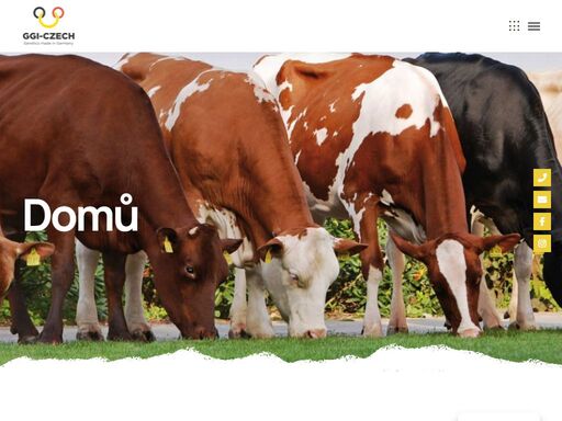společnost ggi czech s.r.o. zastupuje organizace german genetics international gmbh (ggi), která zajišťuje nabídku plemenného materiálu skotu od velkých německých plemenářských organizací.