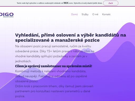 vyhledání, přímé oslovení a výběr kandidátů na specializované a manažerské pozice