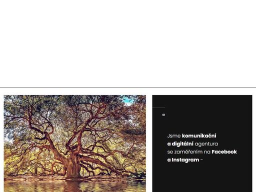 komunikační a digitální agentura se zaměřením na facebook a instagram. zaměřená na oblast ekologie, udržitelnosti a zdravého životního stylu.