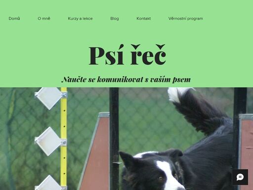 www.psirec.eu