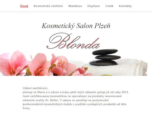 www.salon-plzen.cz