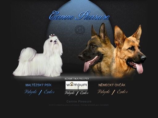 fci chovatelská stanice canine pleasure - maltezáček, německý ovčák
