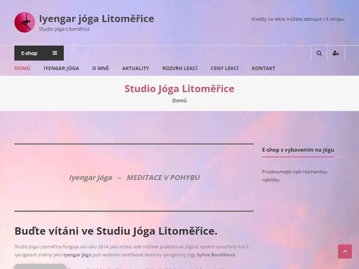 unikátní jógová metoda pojmenovaná podle světoznámého indického učitele b.k.s. iyengara pod vedením ceritifikované lektorky sylvie baráškové.