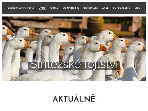 nově nás najdete také na instagramu a facebooku